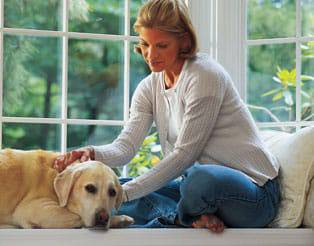 Property Division Attorney in Lawrenceville, Georgia